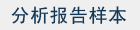 分析报告样本